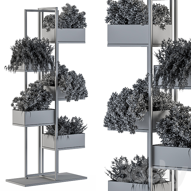 Black Box Plants on stand 03 3DSMax File - thumbnail 4