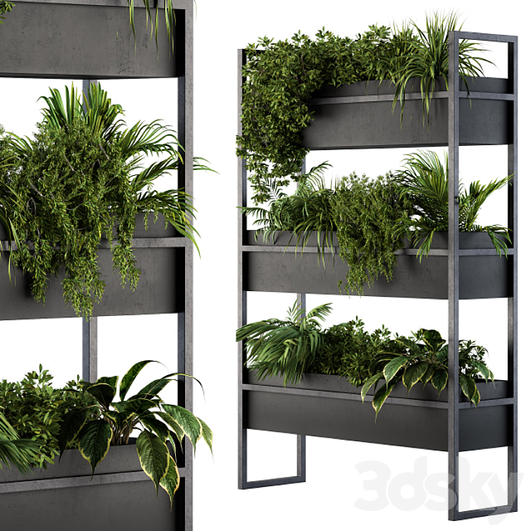 Black Box Plants on stand 05 3DS Max - thumbnail 1