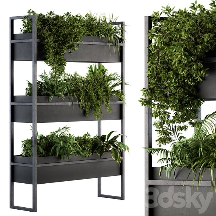 Black Box Plants on stand 05 3DS Max - thumbnail 2