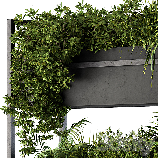 Black Box Plants on stand 05 3DSMax File - thumbnail 3