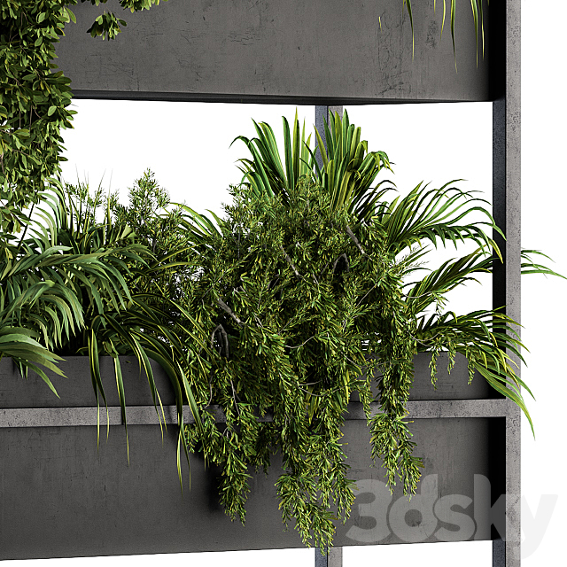 Black Box Plants on stand 05 3DSMax File - thumbnail 4