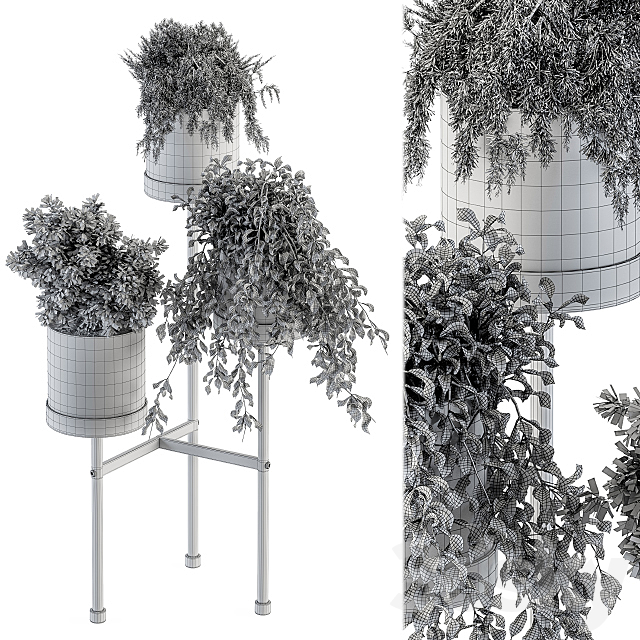 Black Box Plants on stand 07 3DS Max Model - thumbnail 5