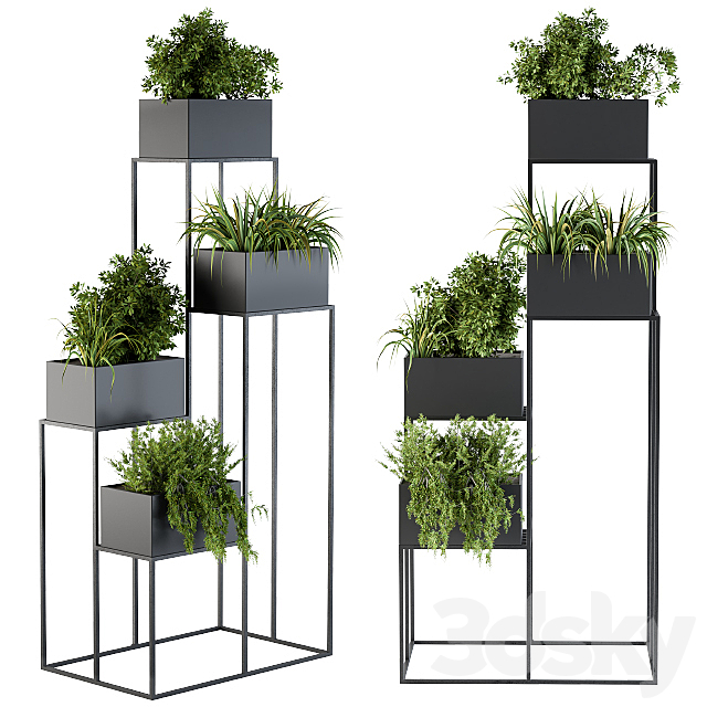 Black Box Plants on stand 3DSMax File - thumbnail 1