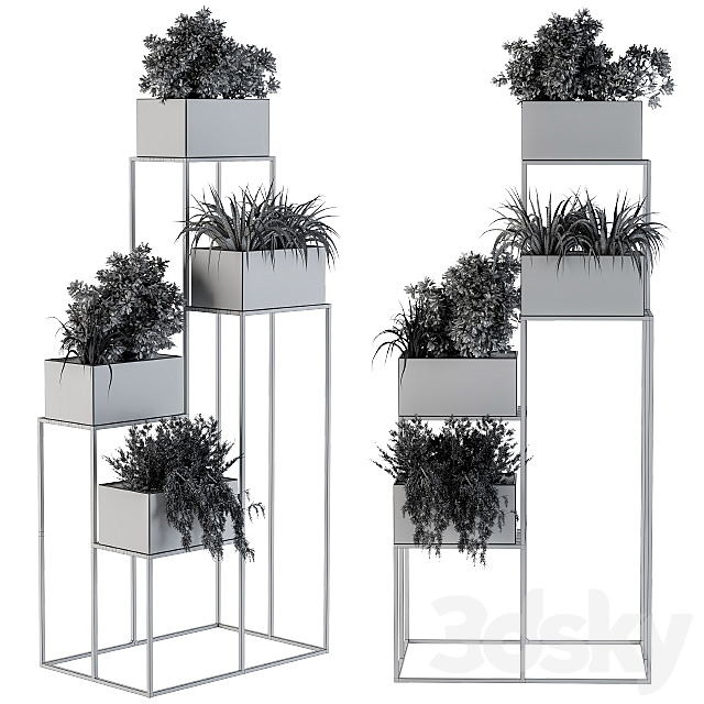 Black Box Plants on stand 3DSMax File - thumbnail 2