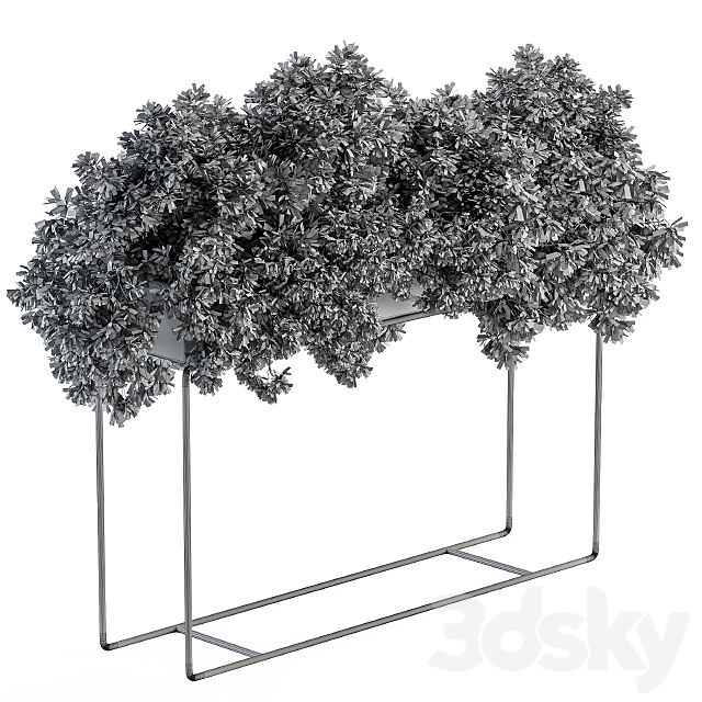 Black Box Plants on stand – Set 80 3DS Max Model - thumbnail 4