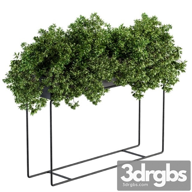 Black Box Plants on Stand Set 80 3dsmax Download - thumbnail 1