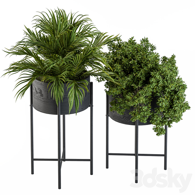 Black round plant box 03 3DS Max - thumbnail 2