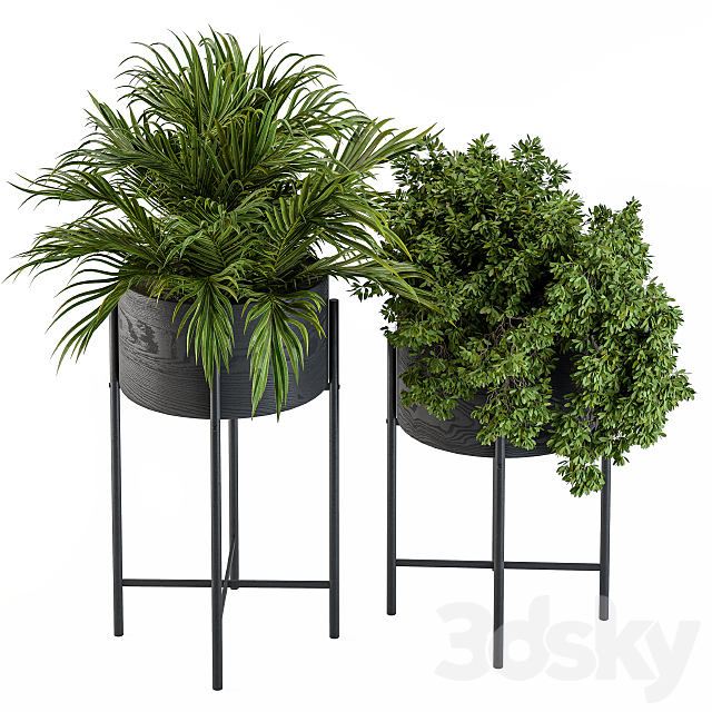 Black round plant box 03 3DSMax File - thumbnail 2