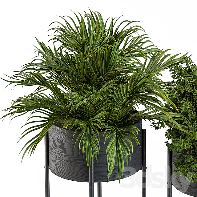 Black round plant box 03 3DSMax File - thumbnail 4