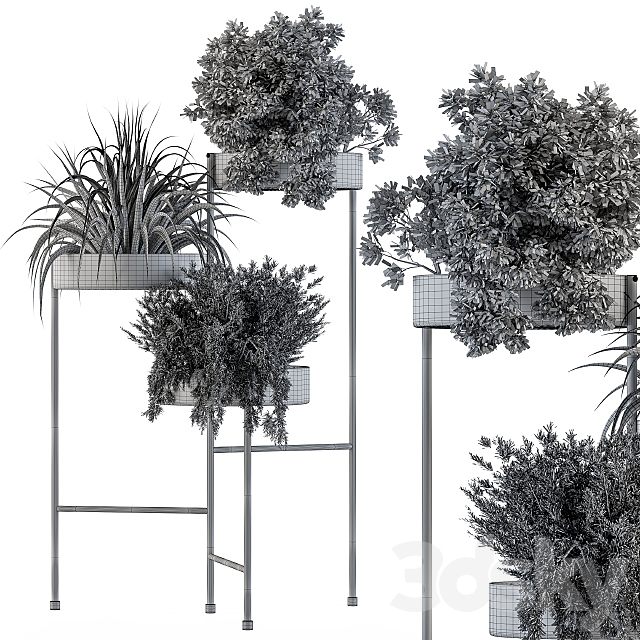 Black round plant box 3DSMax File - thumbnail 3