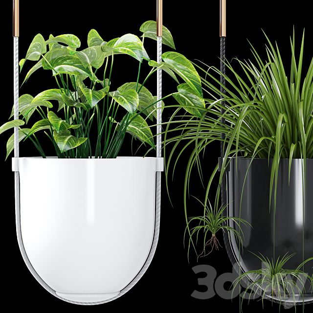 Bolo planter 3DS Max Model - thumbnail 4