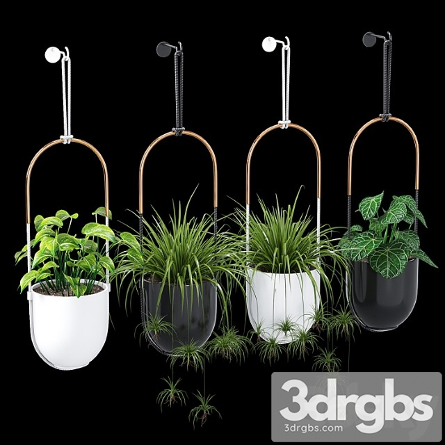 Bolo Planter 3dsmax Download - thumbnail 1