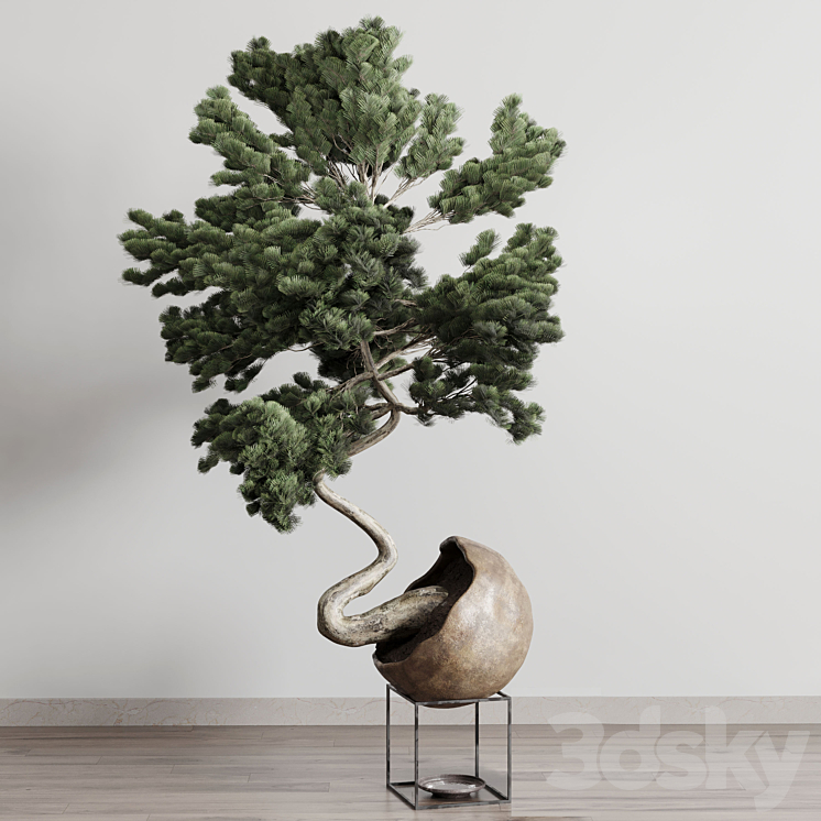 Bonsai 01 3DS Max Model - thumbnail 2