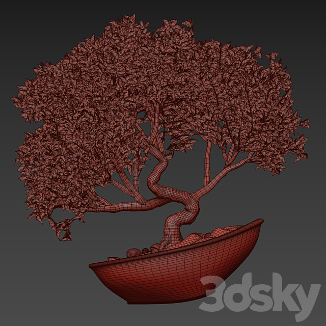 bonsai 04 indoor 3DSMax File - thumbnail 5