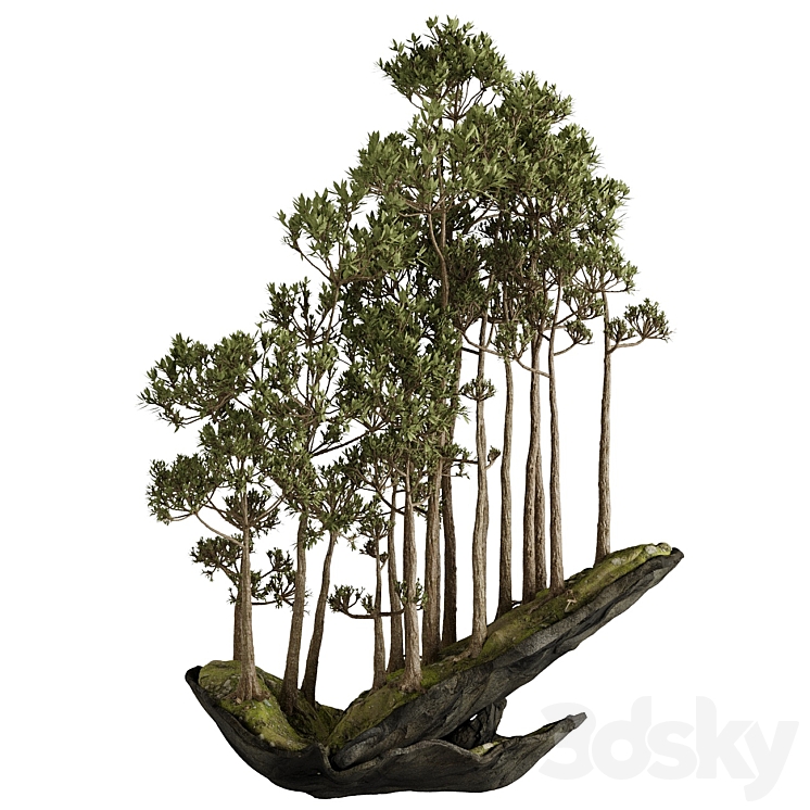 Bonsai 2 3DS Max Model - thumbnail 1