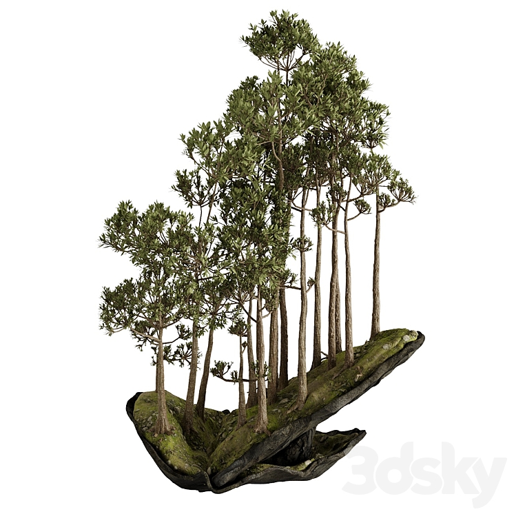 Bonsai 2 3DS Max Model - thumbnail 2