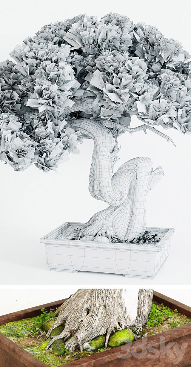 Bonsai 2 3DSMax File - thumbnail 3