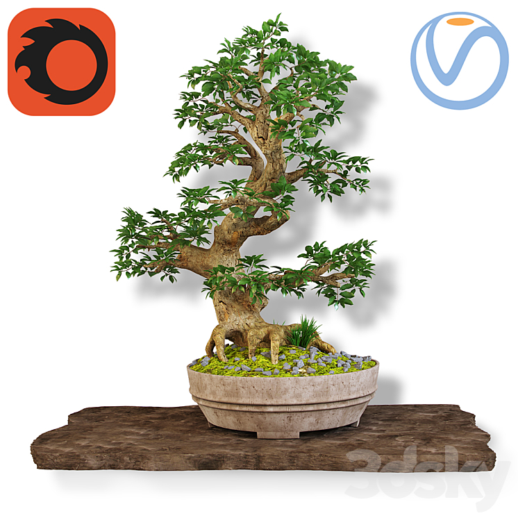 Bonsai 3DS Max - thumbnail 1