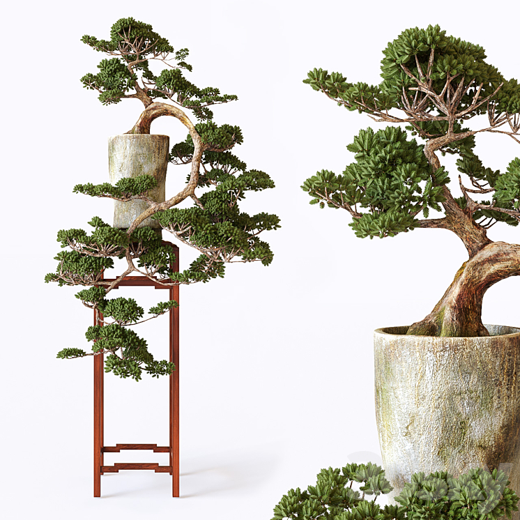 Bonsai 3DS Max - thumbnail 1