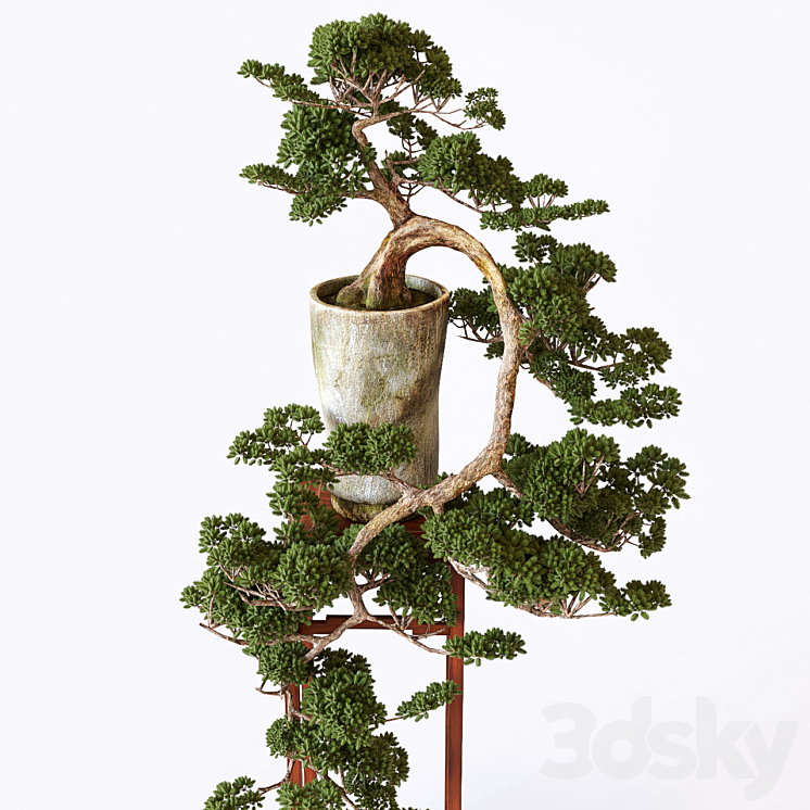 Bonsai 3DS Max - thumbnail 2