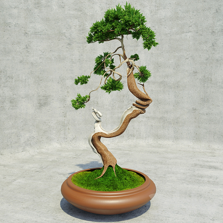 Bonsai 3DS Max - thumbnail 1