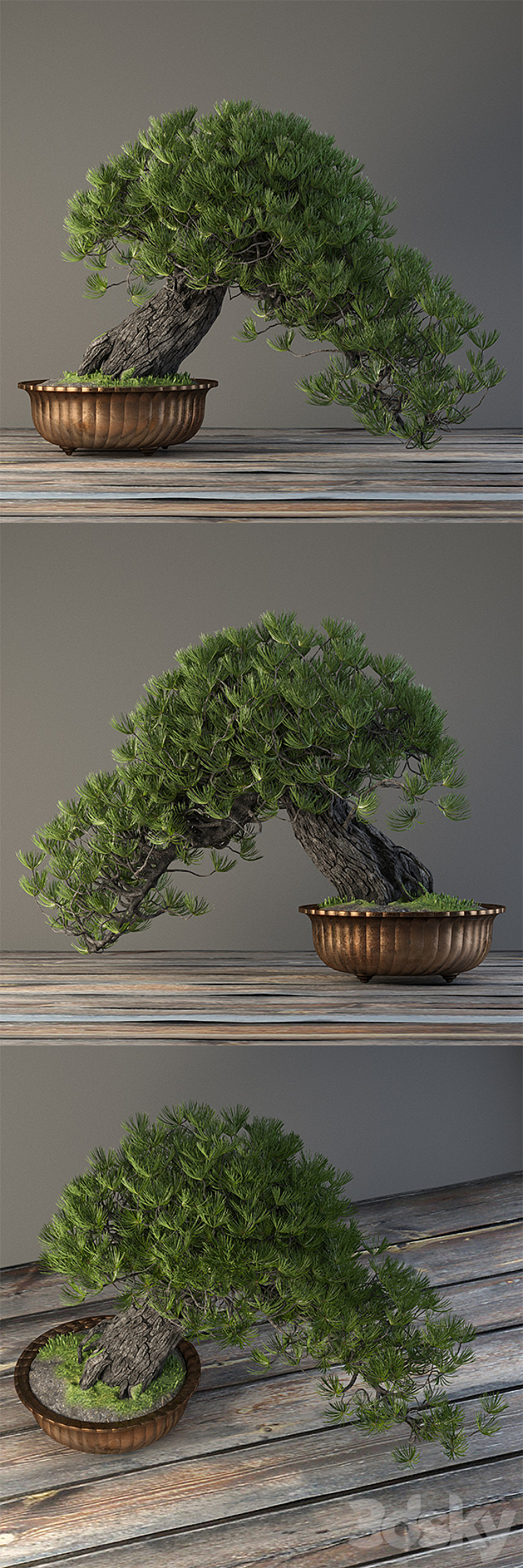 Bonsai 3DS Max - thumbnail 2