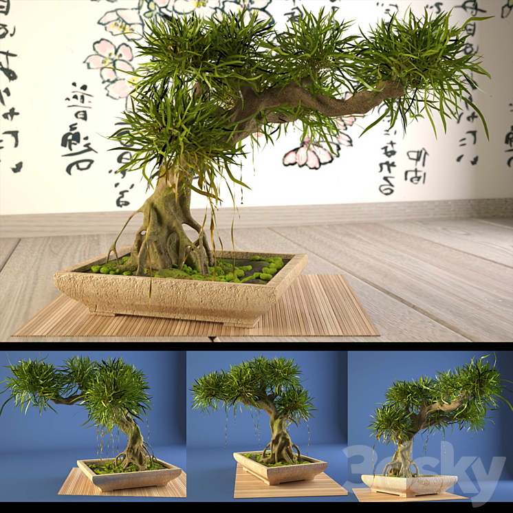 Bonsai 3DS Max - thumbnail 1