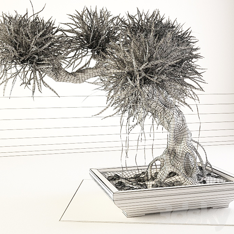 Bonsai 3DS Max - thumbnail 2