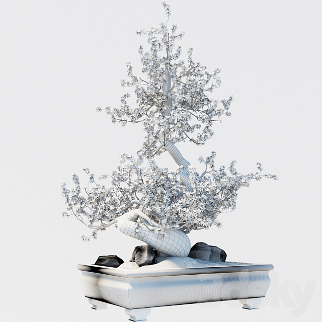 Bonsai 3DS Max Model - thumbnail 3