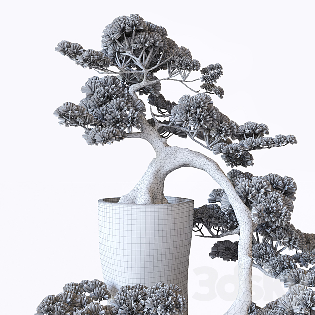 Bonsai 3DSMax File - thumbnail 3