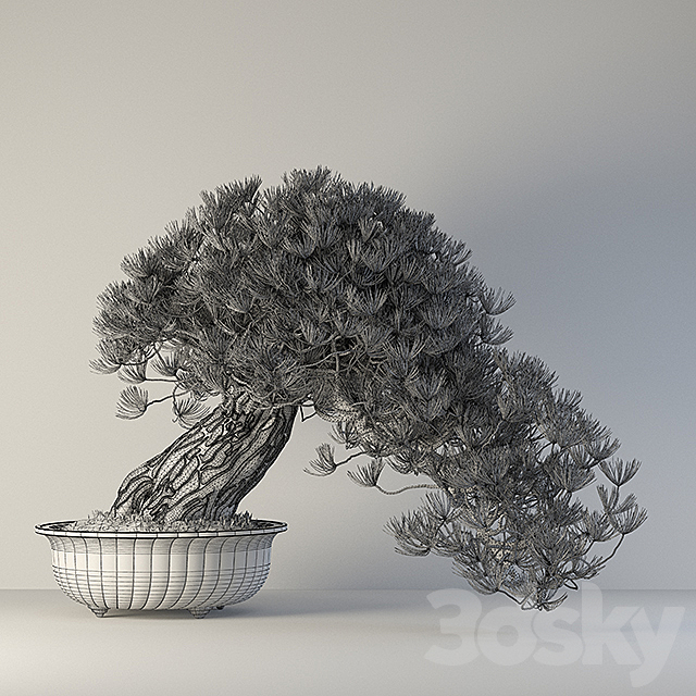 Bonsai 3DSMax File - thumbnail 3