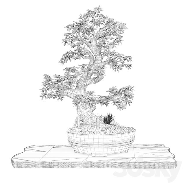 Bonsai 3DSMax File - thumbnail 3