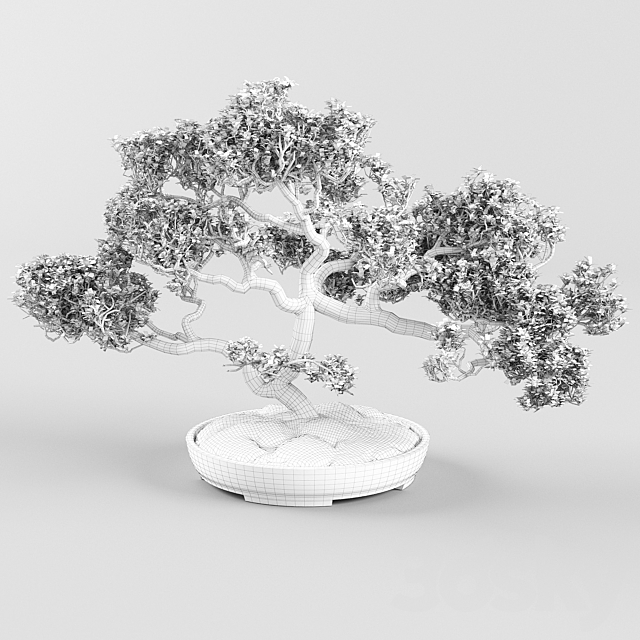 Bonsai 3DSMax File - thumbnail 2