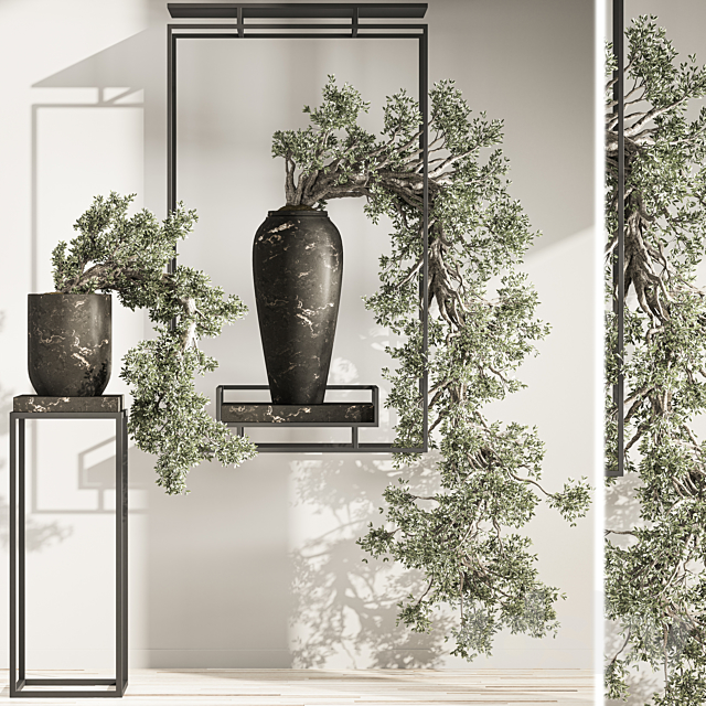 Bonsai And Indoor Plant Set 43 3ds Max - thumbnail 3