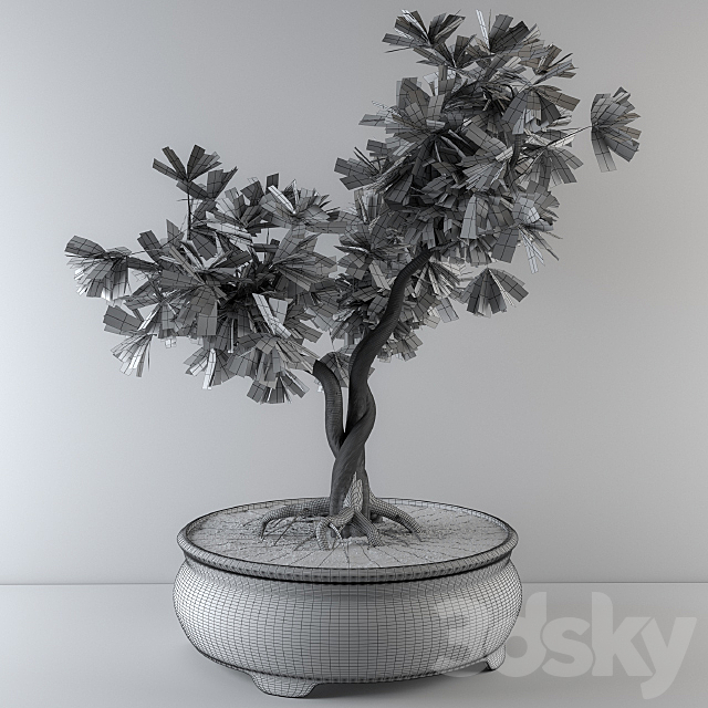 Bonsai broadleaf tree 3DSMax File - thumbnail 3