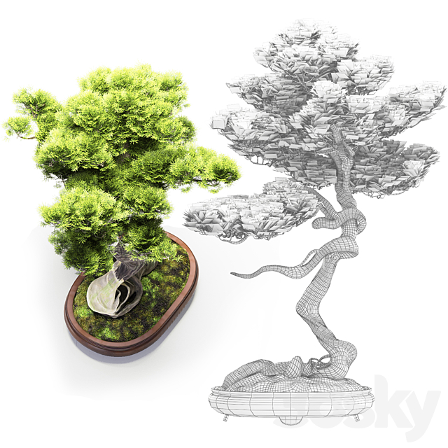 Bonsai Bunjin Shimpaku 3DSMax File - thumbnail 4