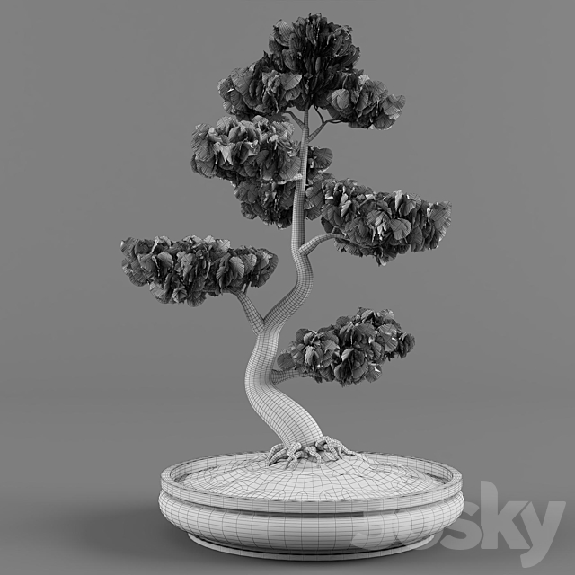 Bonsai decorative tree 01 3DSMax File - thumbnail 4