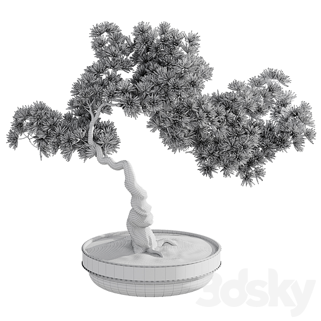 Bonsai plant 3DS Max Model - thumbnail 5