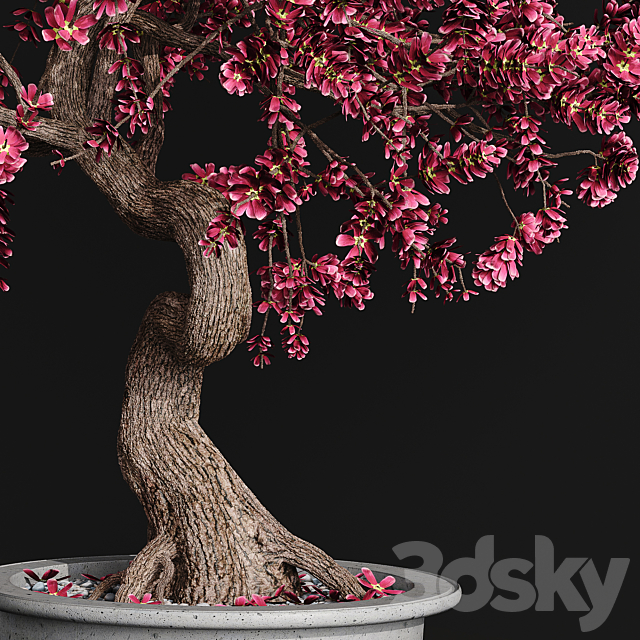 Bonsai plant 3DSMax File - thumbnail 3