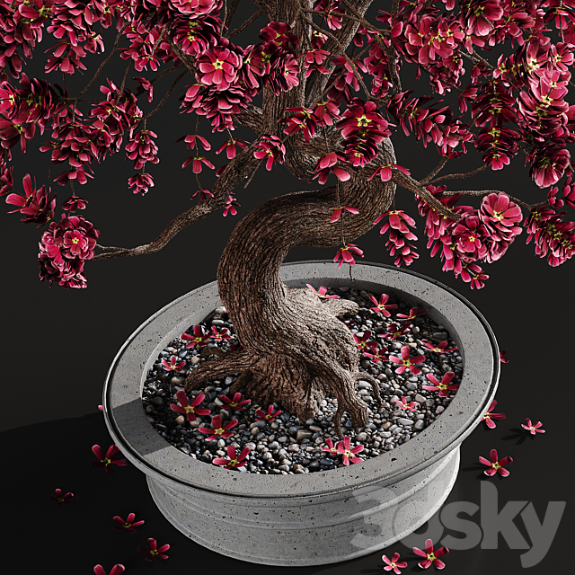 Bonsai plant 3DSMax File - thumbnail 4