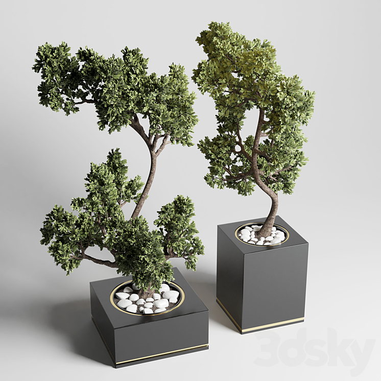 bonsai pot concrete vase pot tree 3DS Max Model - thumbnail 3