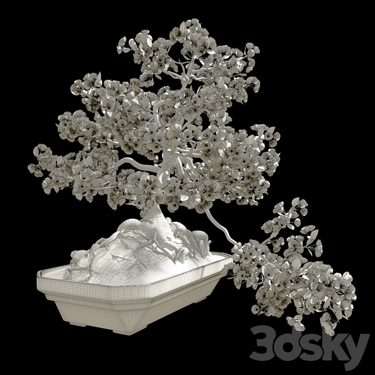 Bonsai Sakura 3DS Max - thumbnail 2