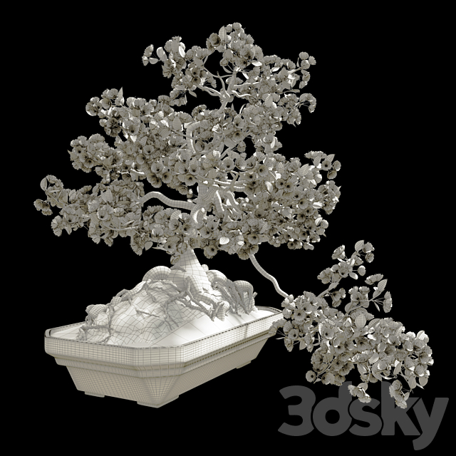 Bonsai Sakura 3DSMax File - thumbnail 2