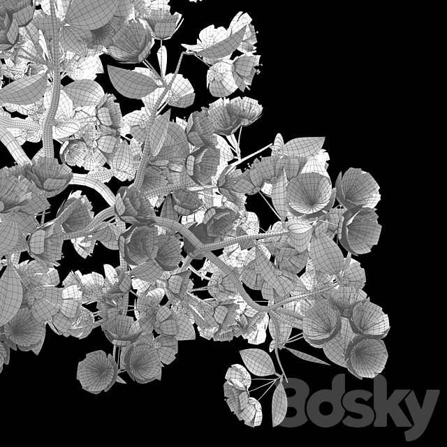 Bonsai Sakura 3DSMax File - thumbnail 4