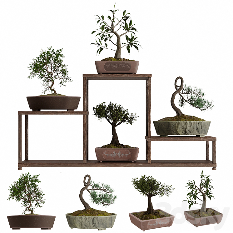 Bonsai set 3DS Max - thumbnail 1