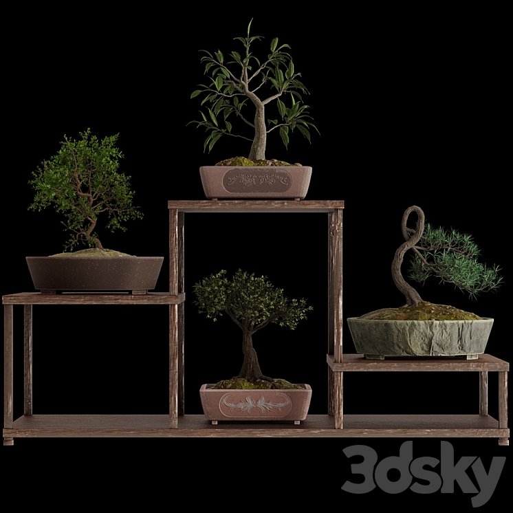 Bonsai set 3DS Max - thumbnail 2