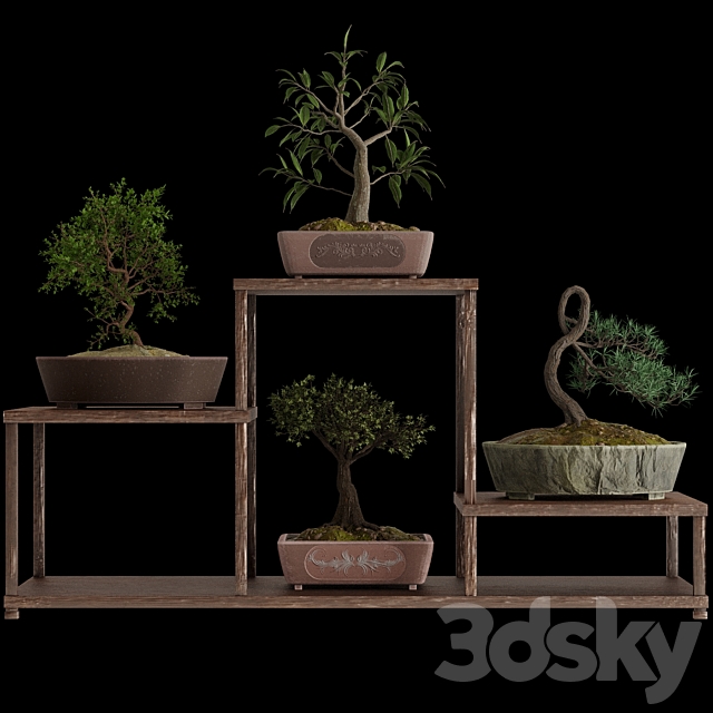 Bonsai set 3DSMax File - thumbnail 2