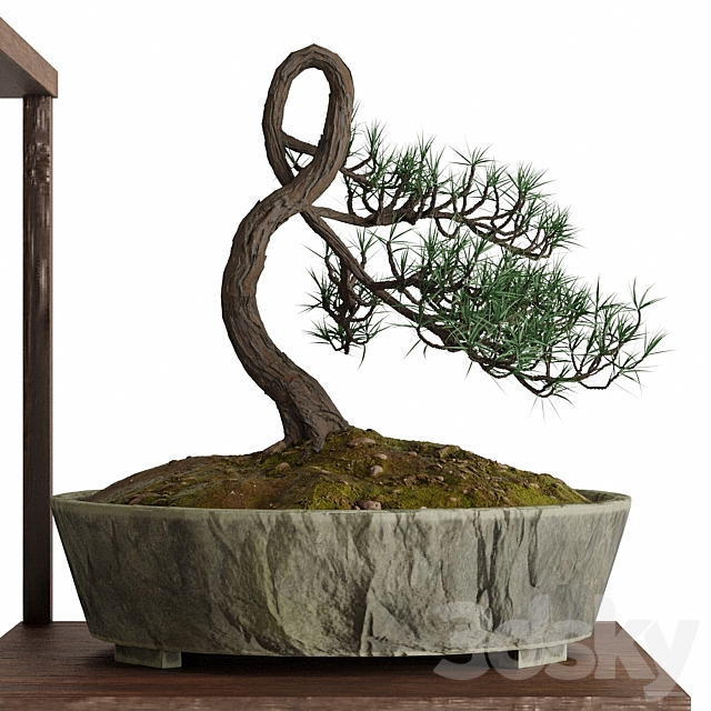 Bonsai set 3DSMax File - thumbnail 3