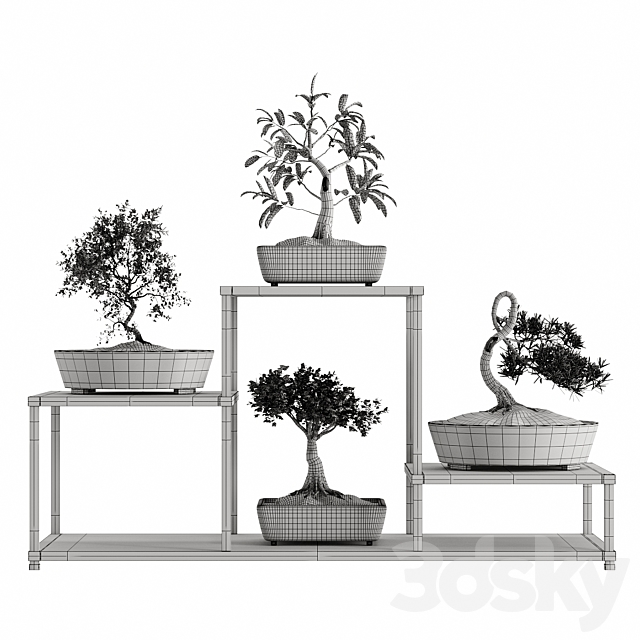 Bonsai set 3DSMax File - thumbnail 5