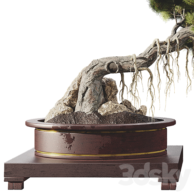 Bonsai tree 58 3DSMax File - thumbnail 2